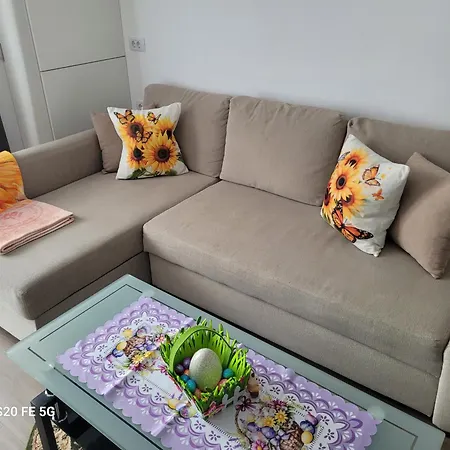 Casa Cu Floarea Soarelui