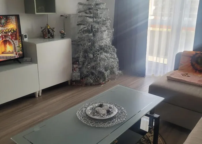 Apartman Casa Cu Floarea Soarelui Brassó